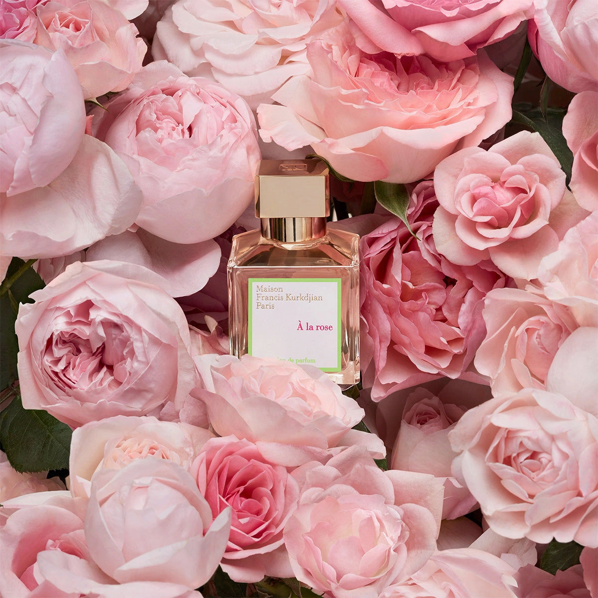 ?? La Rose Eau de Parfum