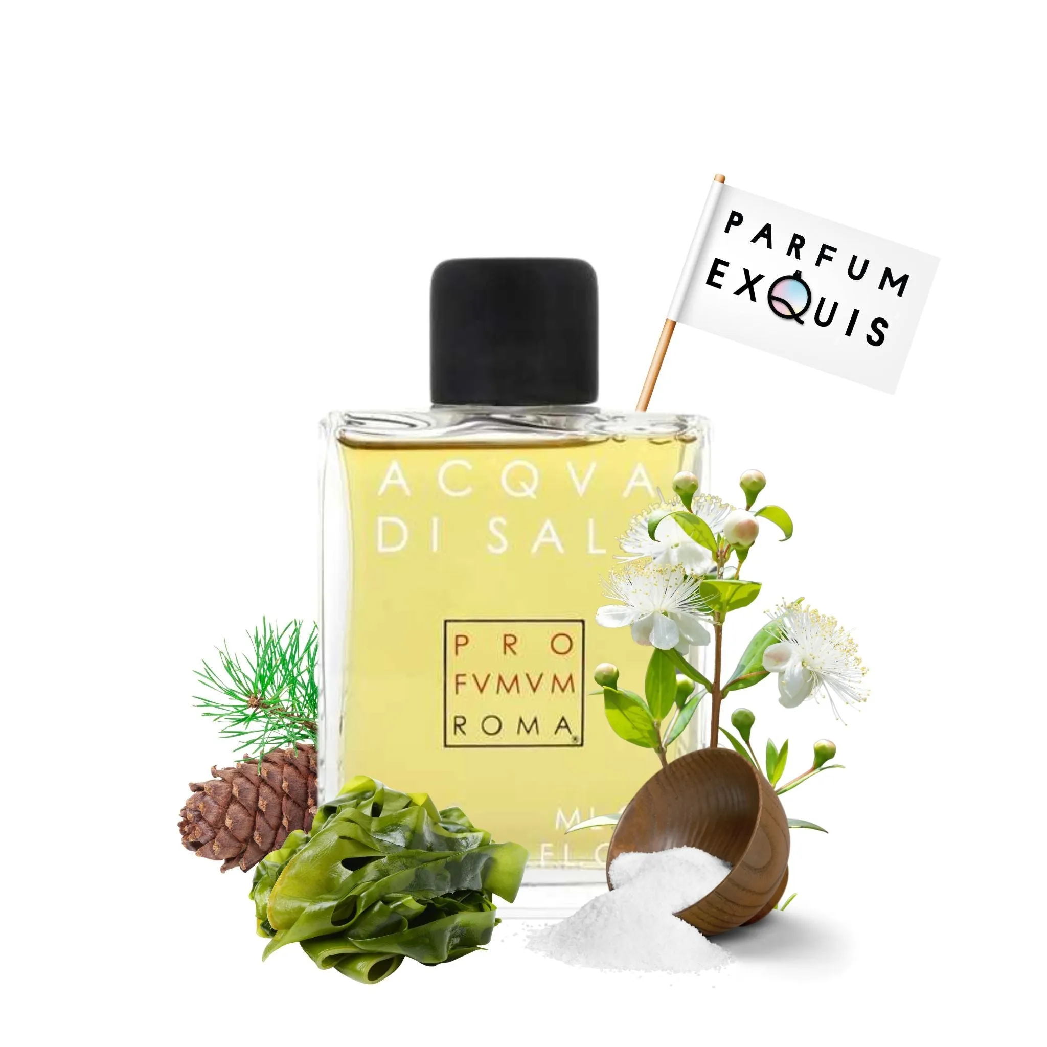 Acqua Di Sale