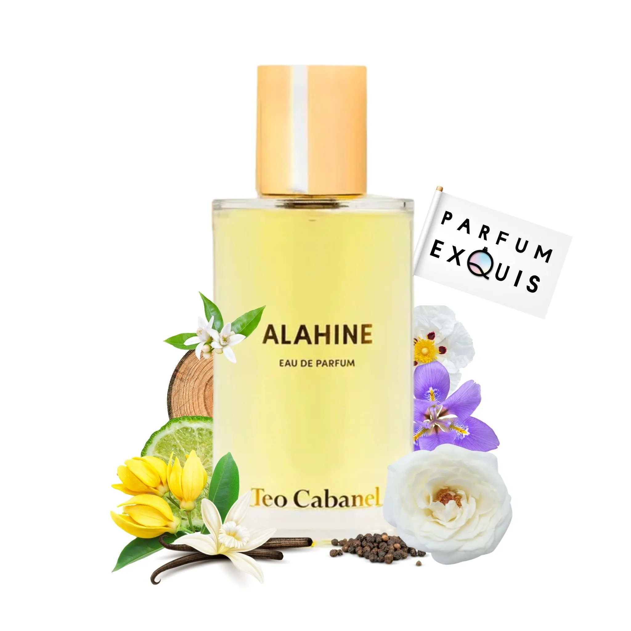 Alahine