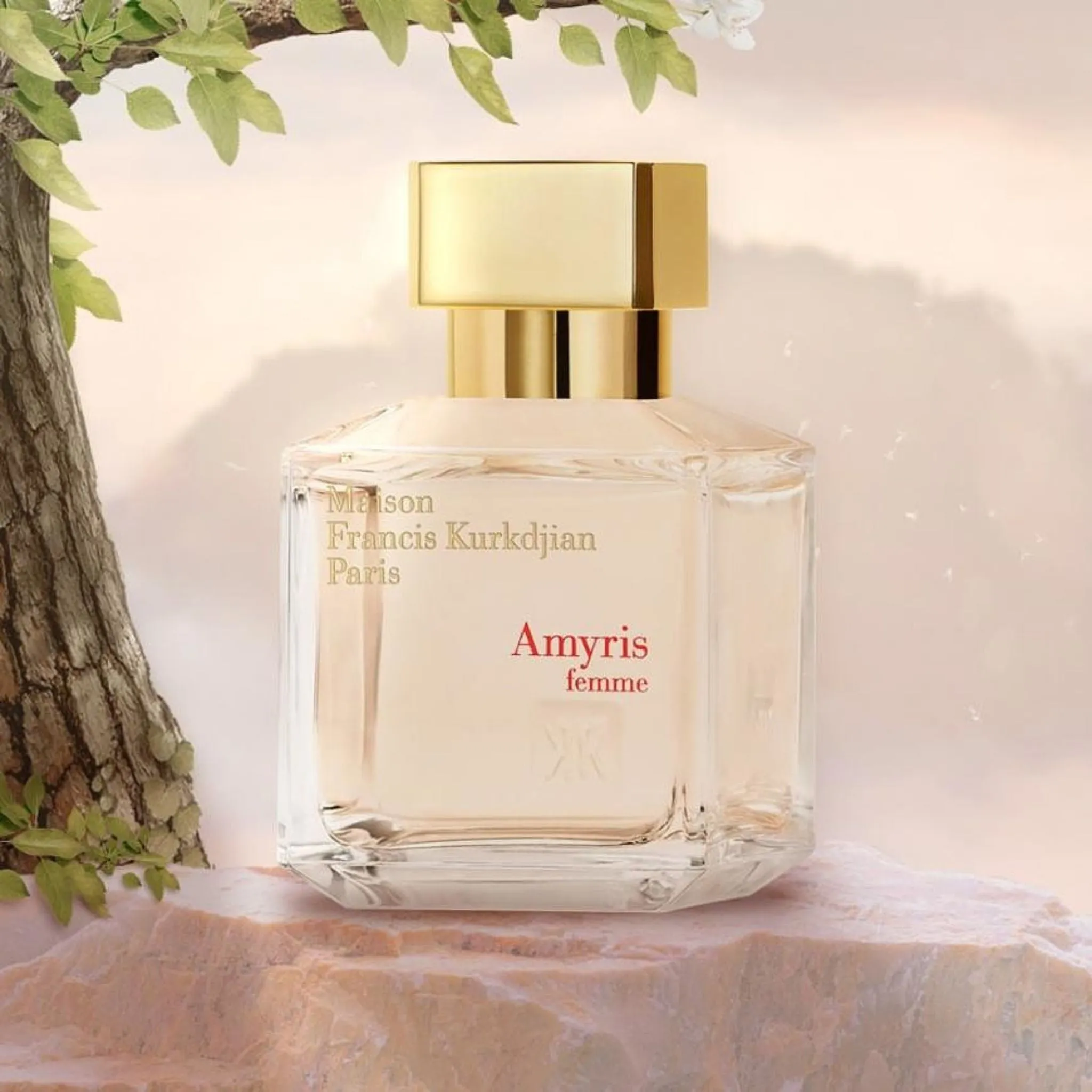 Amyris femme
