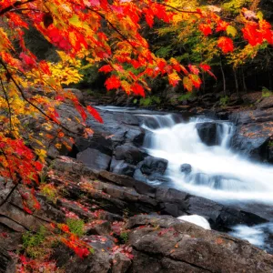 Autumn Magic - Premium Fragrance Oil