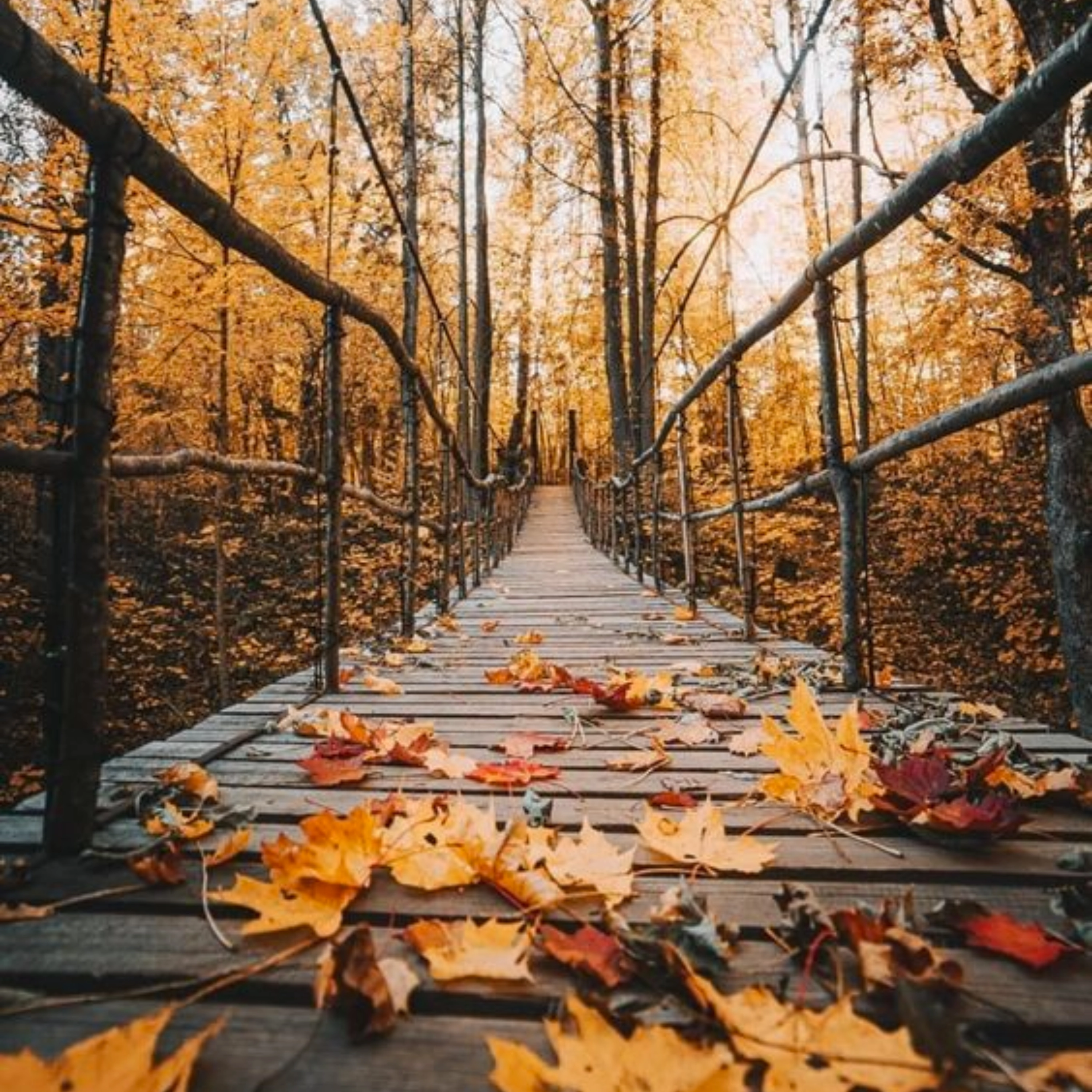 Autumn Day