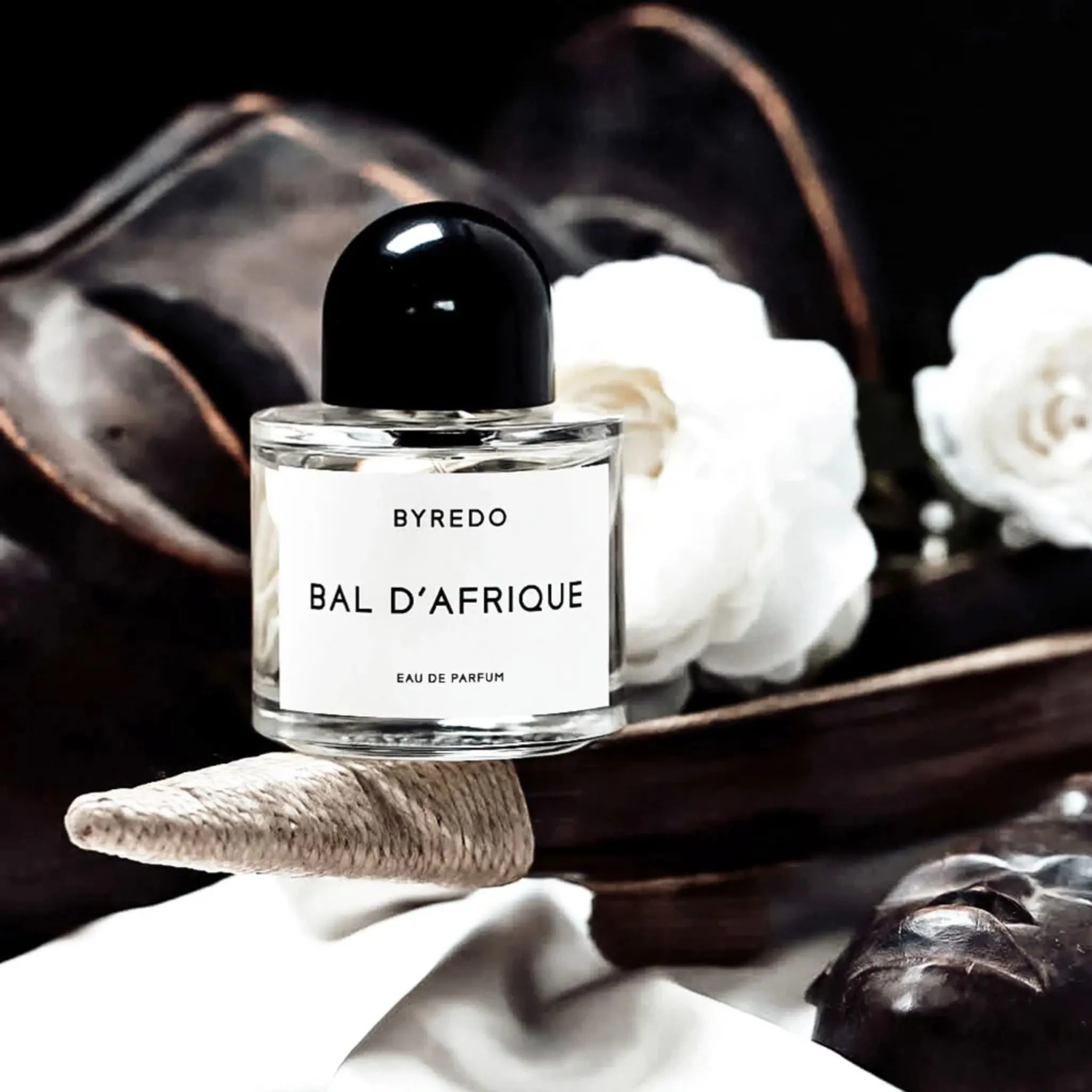 Bal d'Afrique
