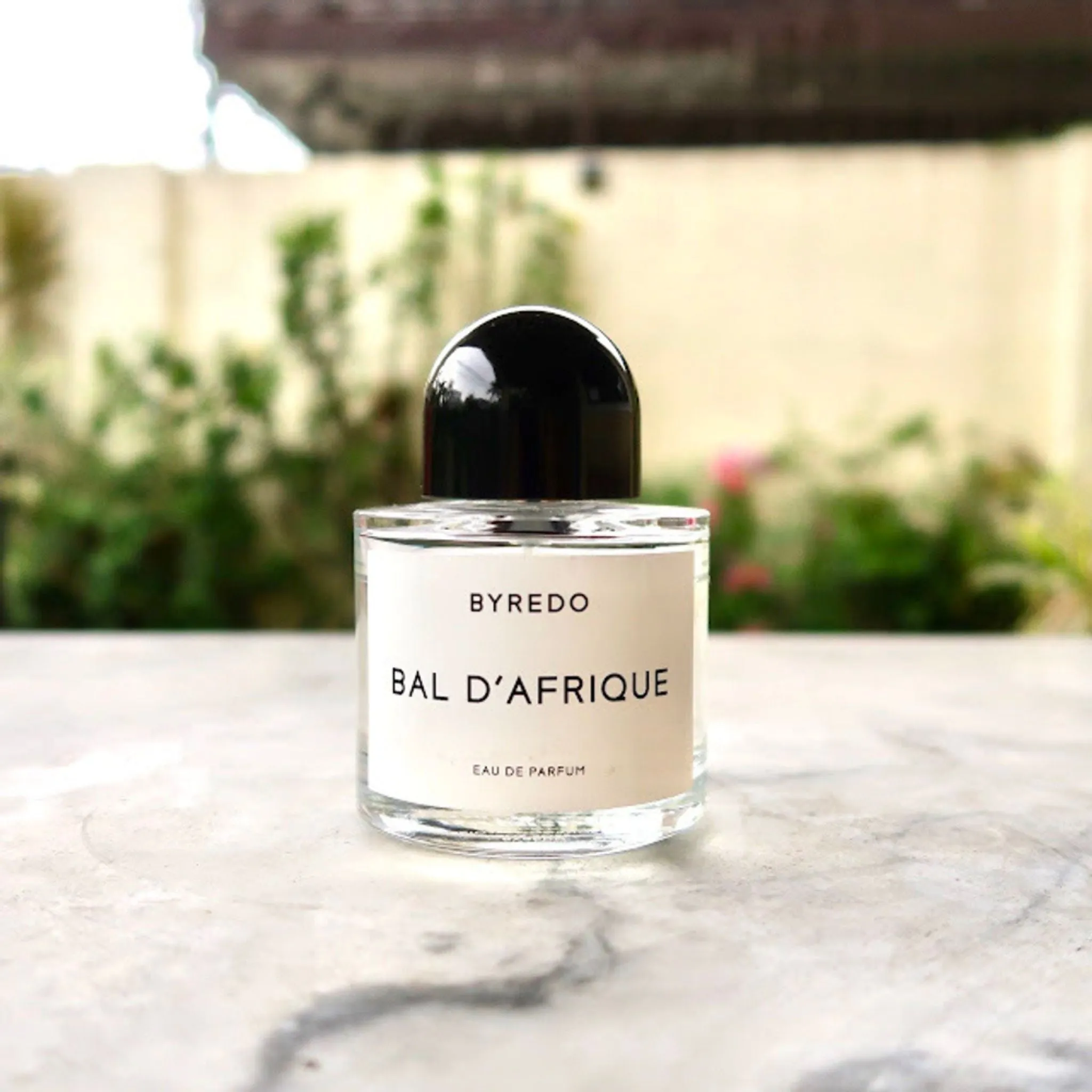 Bal d'Afrique