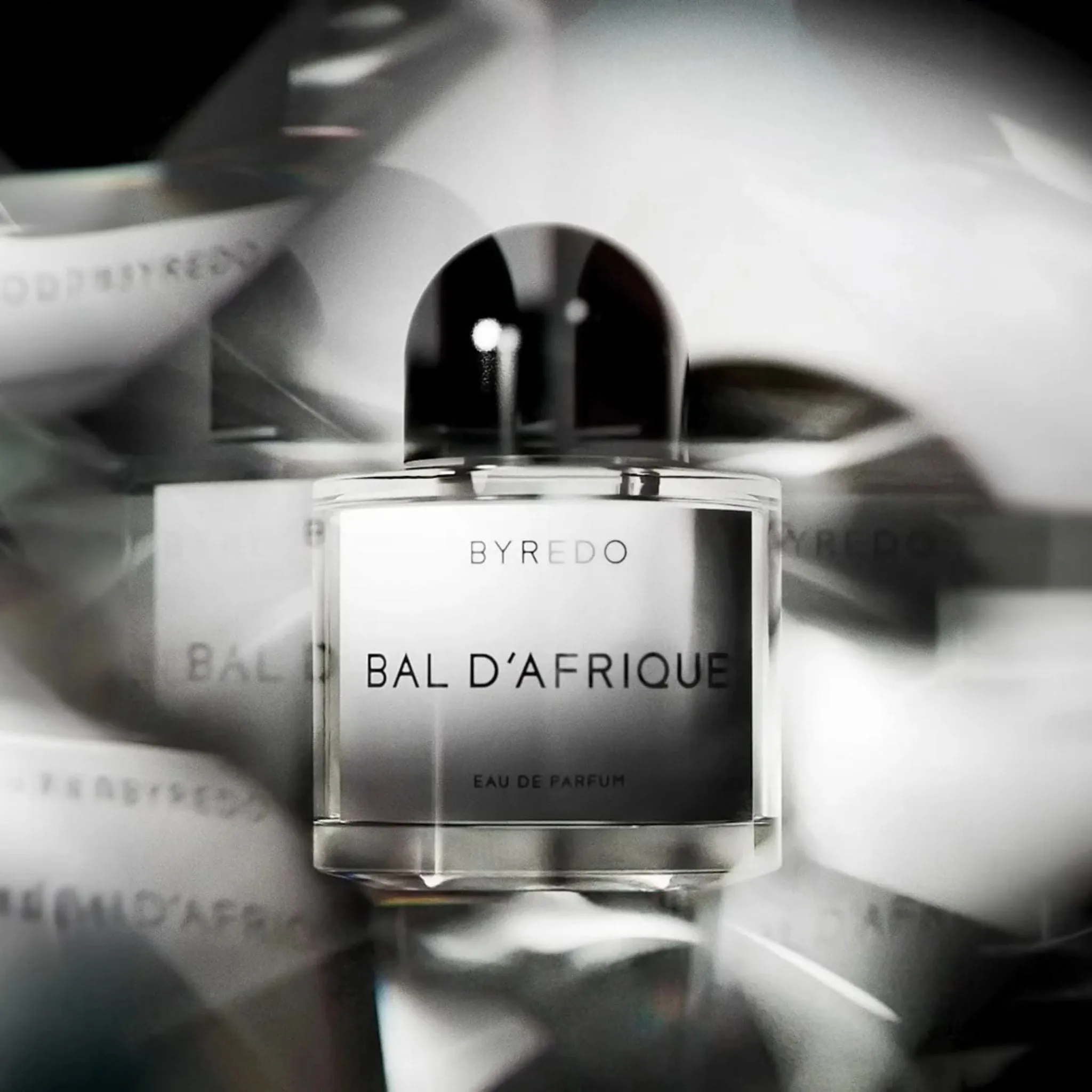 Bal d'Afrique