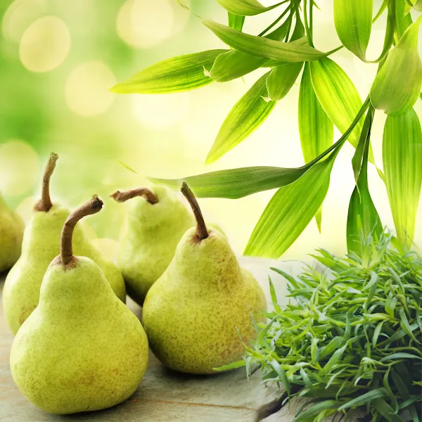 Bamboo Pear Tarragon *Discontinued* Premium Fragrance Oil