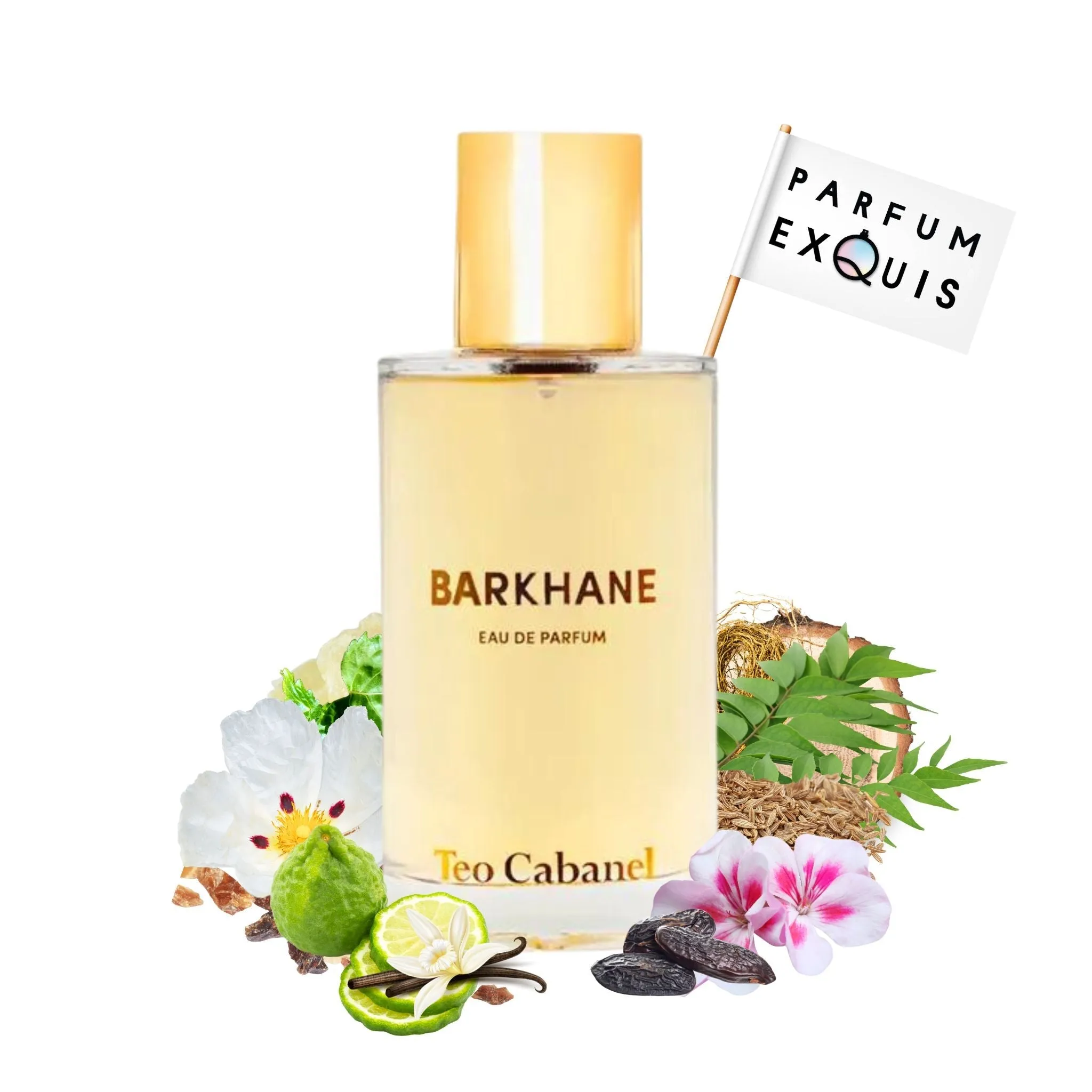 Barkhane
