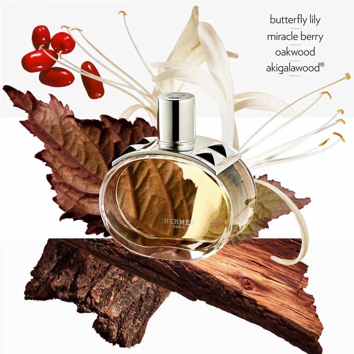 Bar??nia, Eau de Parfum refill