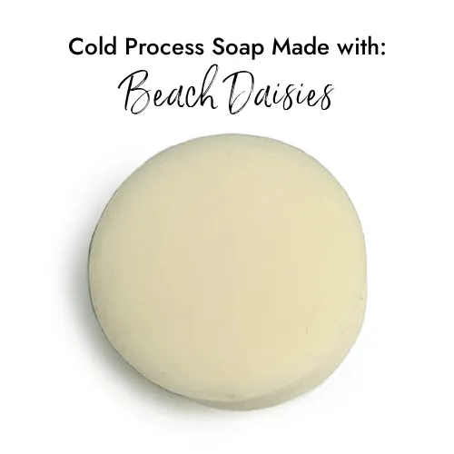 Beach Daisies *Discontinued*  Premium Fragrance Oil