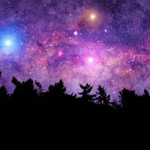 Beneath the Stars - Premium Fragrance Oil