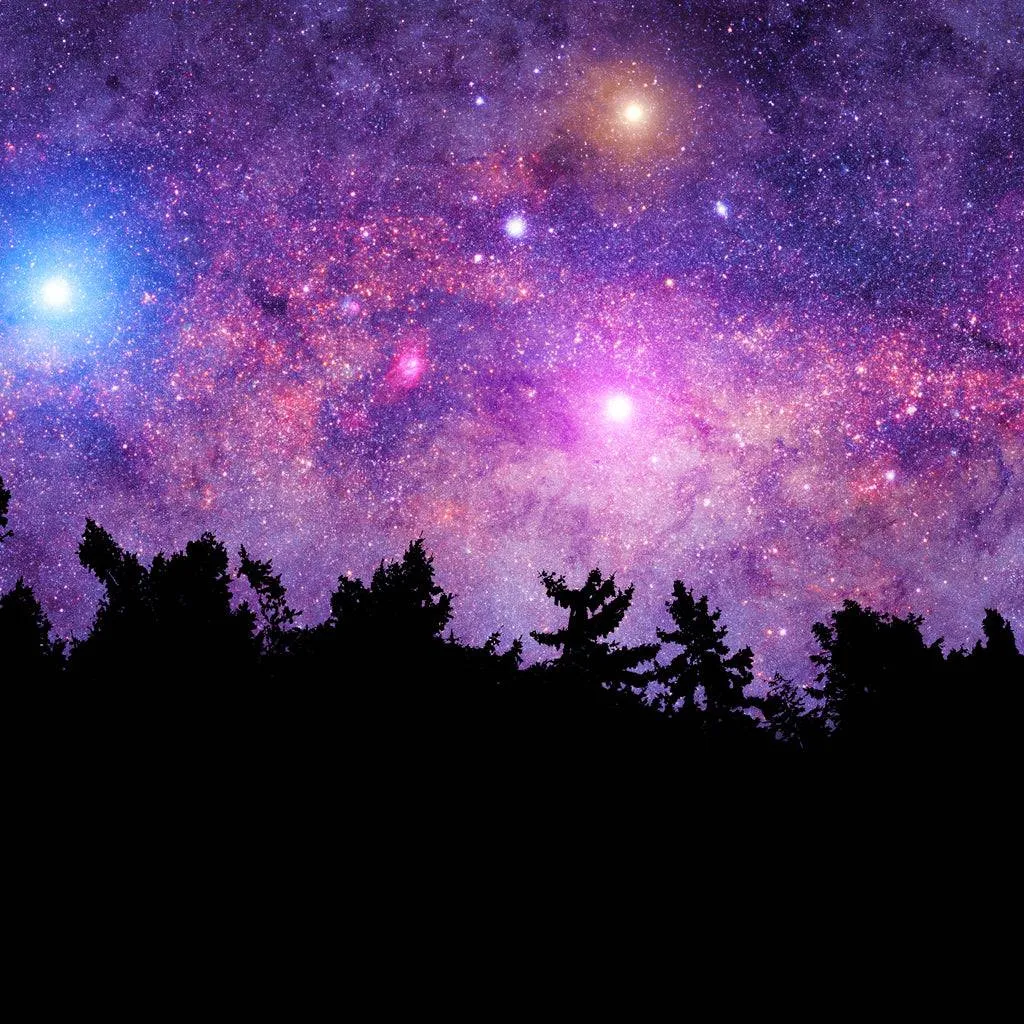 Beneath the Stars - Premium Fragrance Oil
