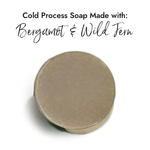 Bergamot & Wild Fern - Premium Fragrance Oil