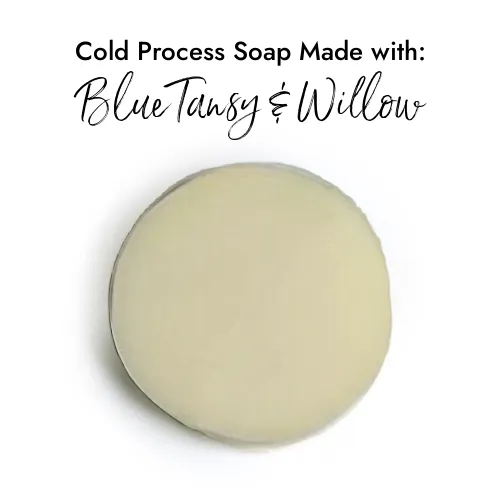 Blue Tansy & Willow - Premium Fragrance Oil