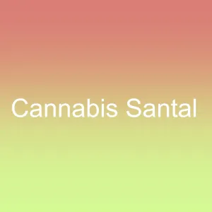 Cannabis Santal