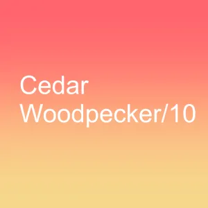 Cedar Woodpecker / 10