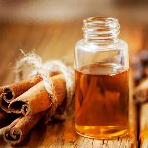 Cinnamon & Amber - Premium Fragrance Oil