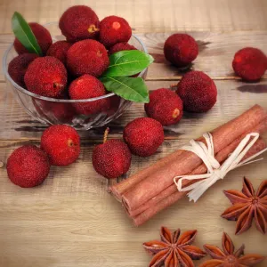 Cinnamon Bayberry - Premium Fragrance Oil