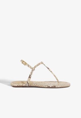 Smart Comfort Design Breathable Shoe Design Elsha Flat Sandal