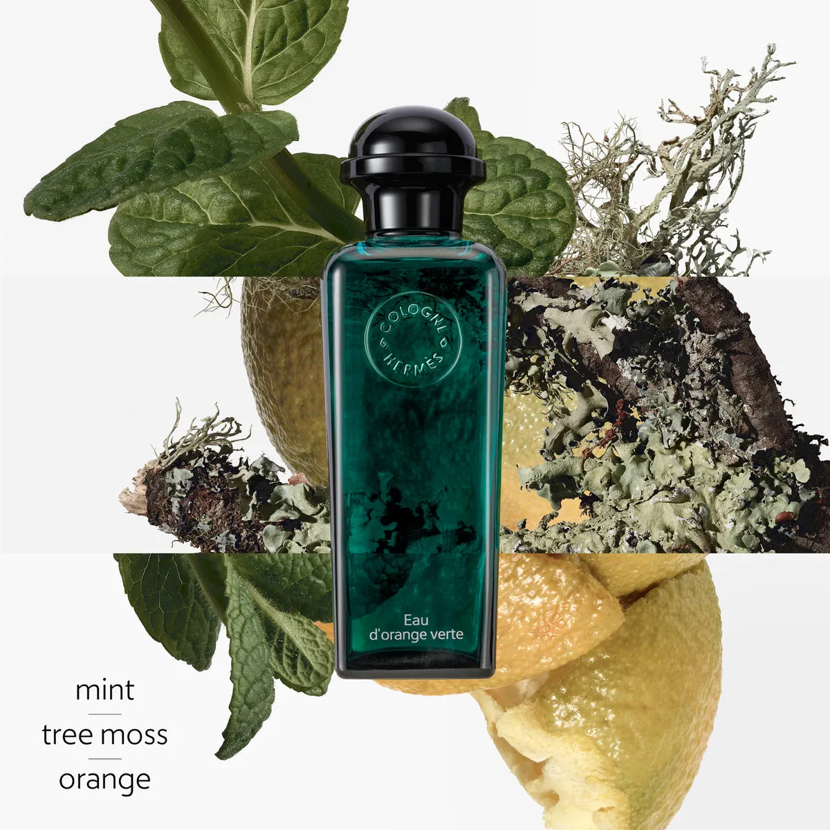 Concentr?? d'orange verte, Eau de toilette