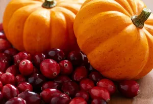 Cranberry Pumpkin (Discontinued) BBW Ttype
