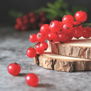 Currant & Sandalwood Candle Fragrance Oil
