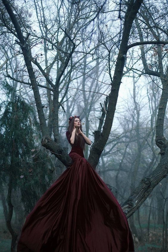 Dragon's Blood