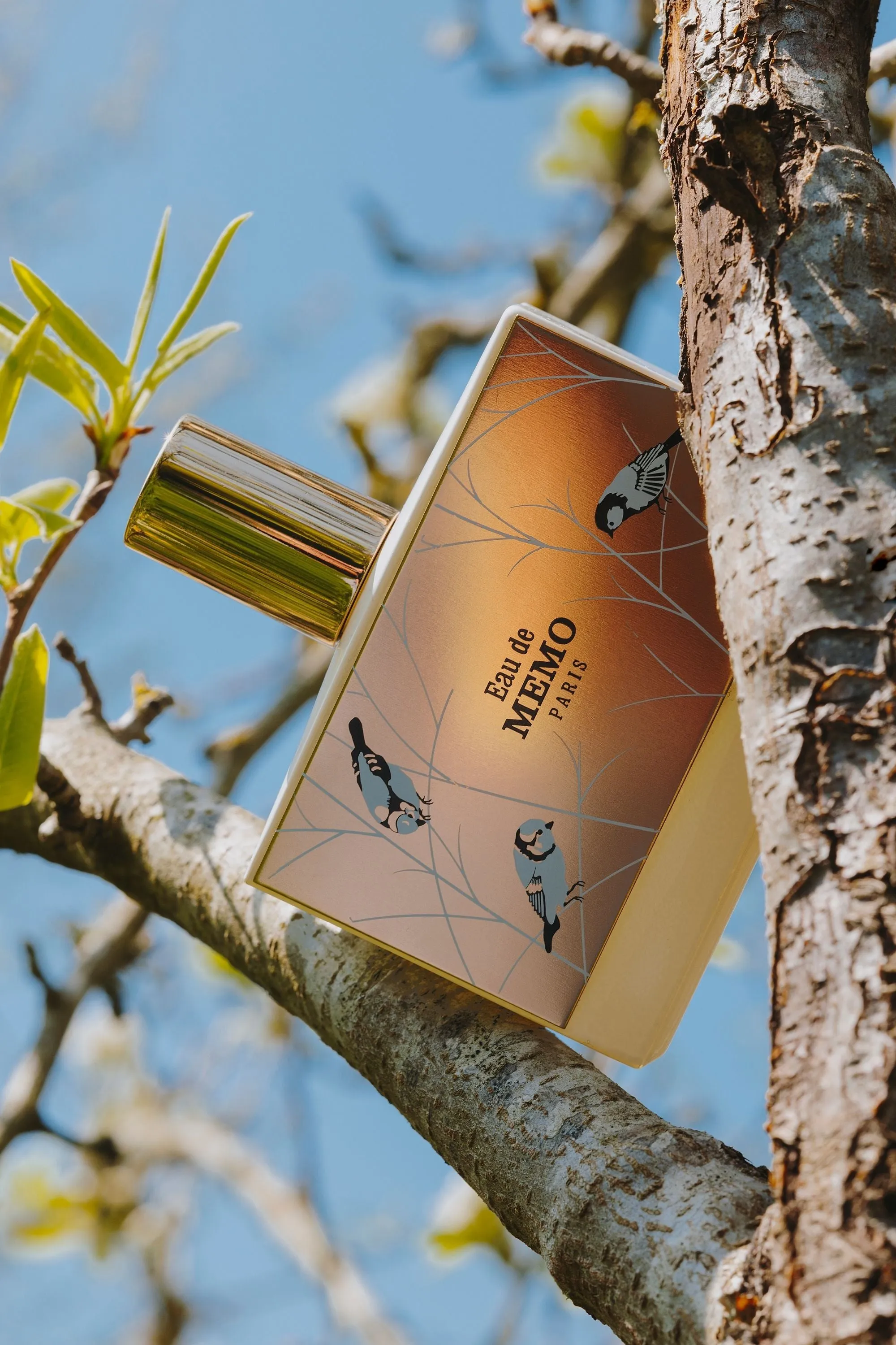 Eau de Memo