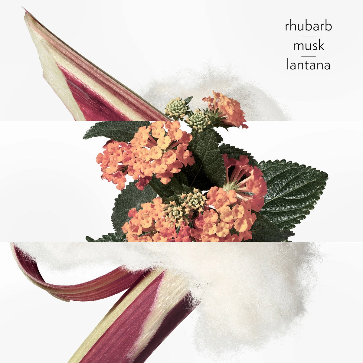Eau de Rhubarbe ??|carlate, Eau de cologne