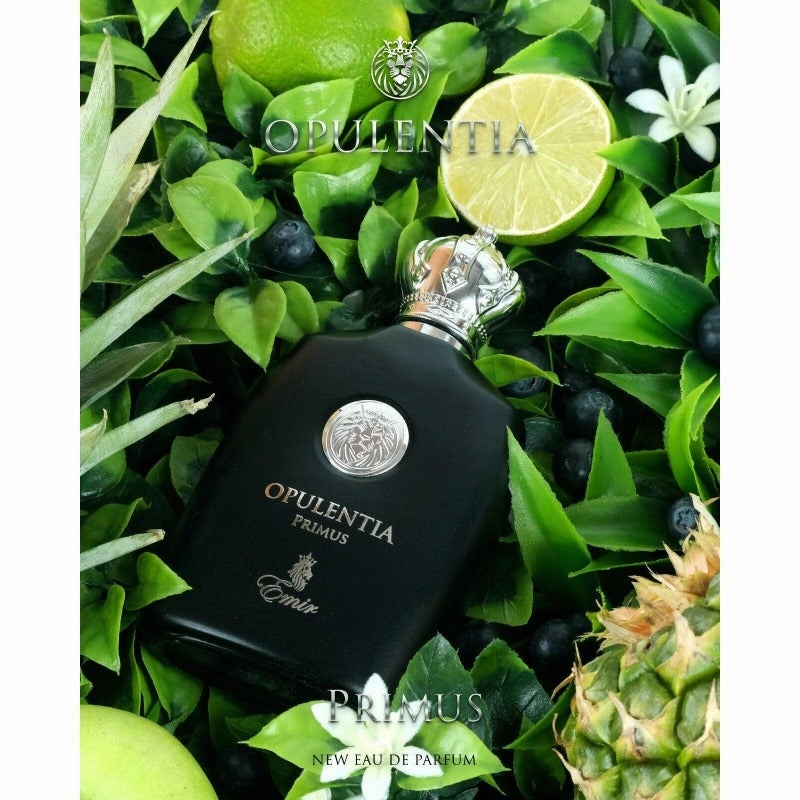 Emir Opulentia Primus parfumuotas vanduo vyrams 100ml