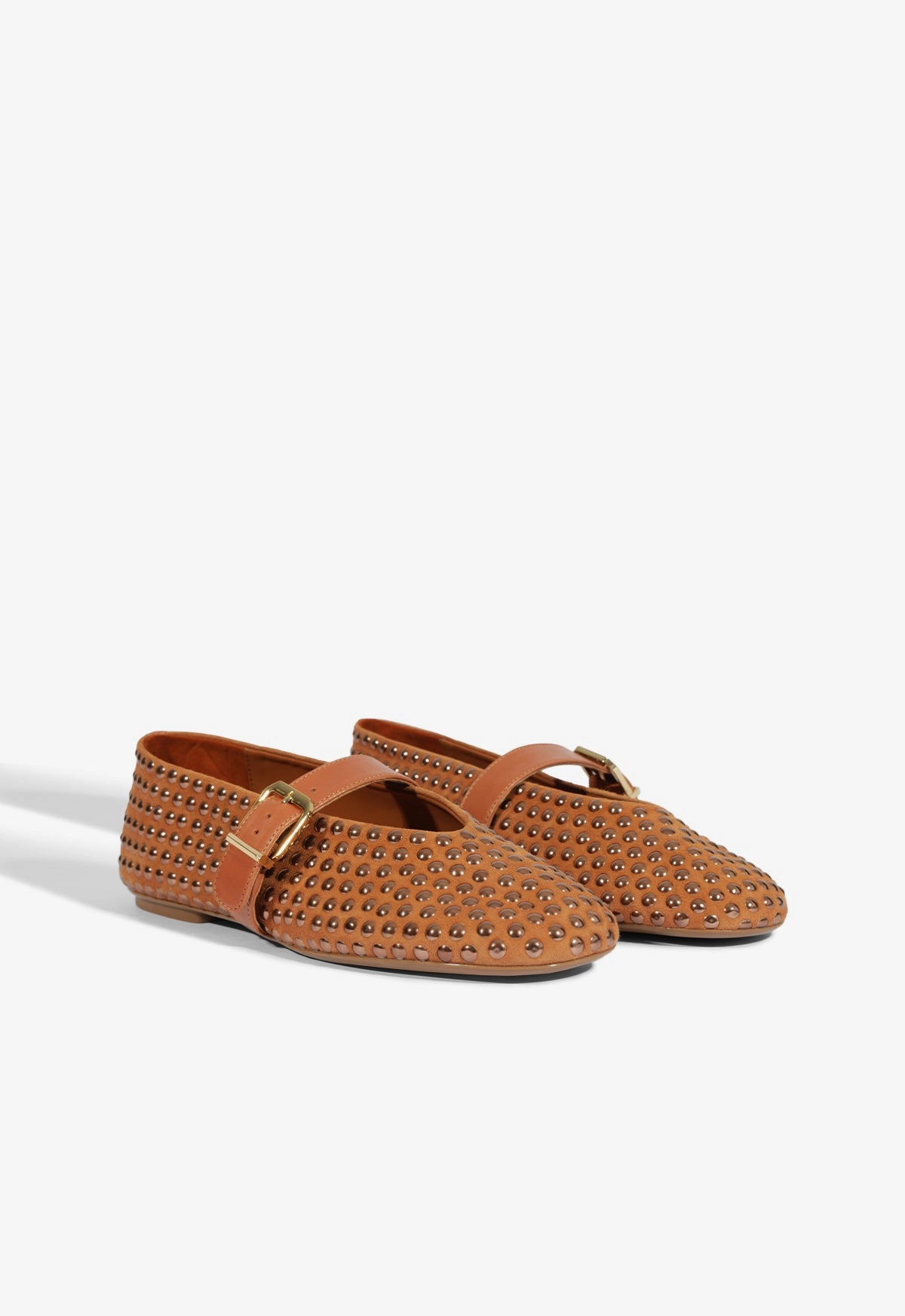 Everyday Essential Eiza Shine Suede Flat