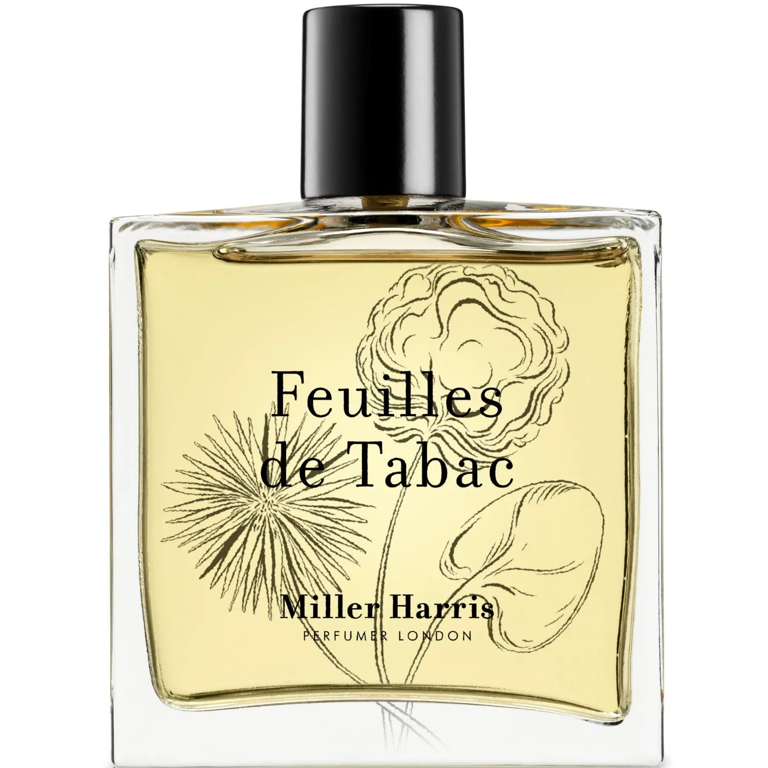 Feuilles de Tabac