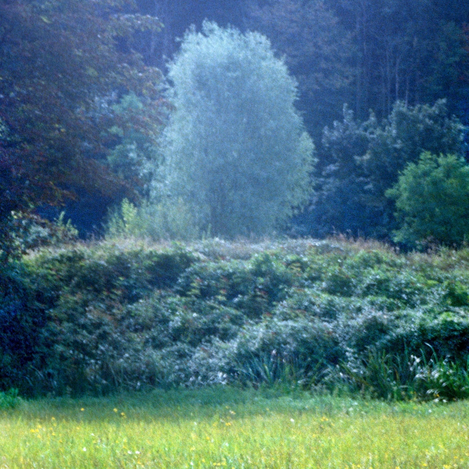 FOR REST Eau de Perfume