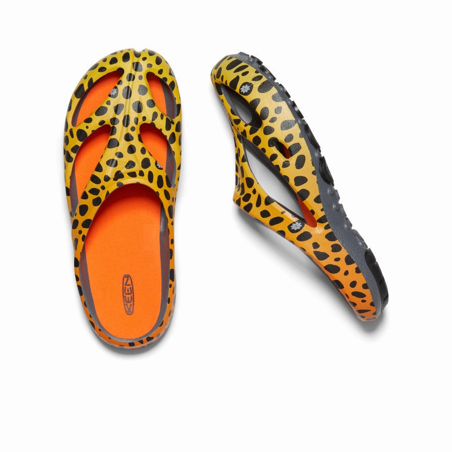 Fresh Path Men's Shanti Arts  |  THC Cheetah Rainbow