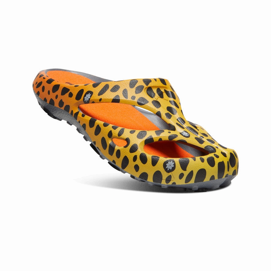 Fresh Path Men's Shanti Arts  |  THC Cheetah Rainbow