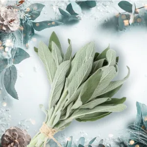 Holiday Sage - Premium Fragrance Oil