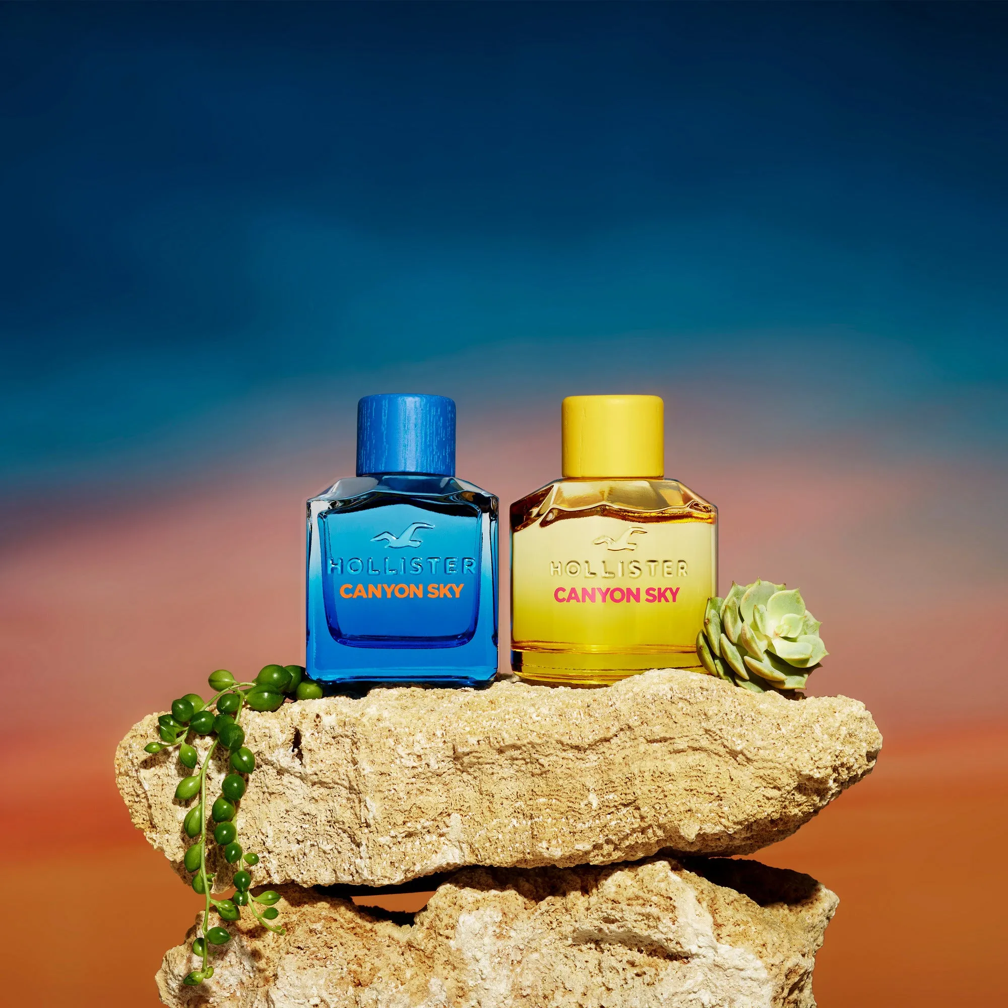 HOLLISTER CANYON SKY FOR HER EDP 100ML