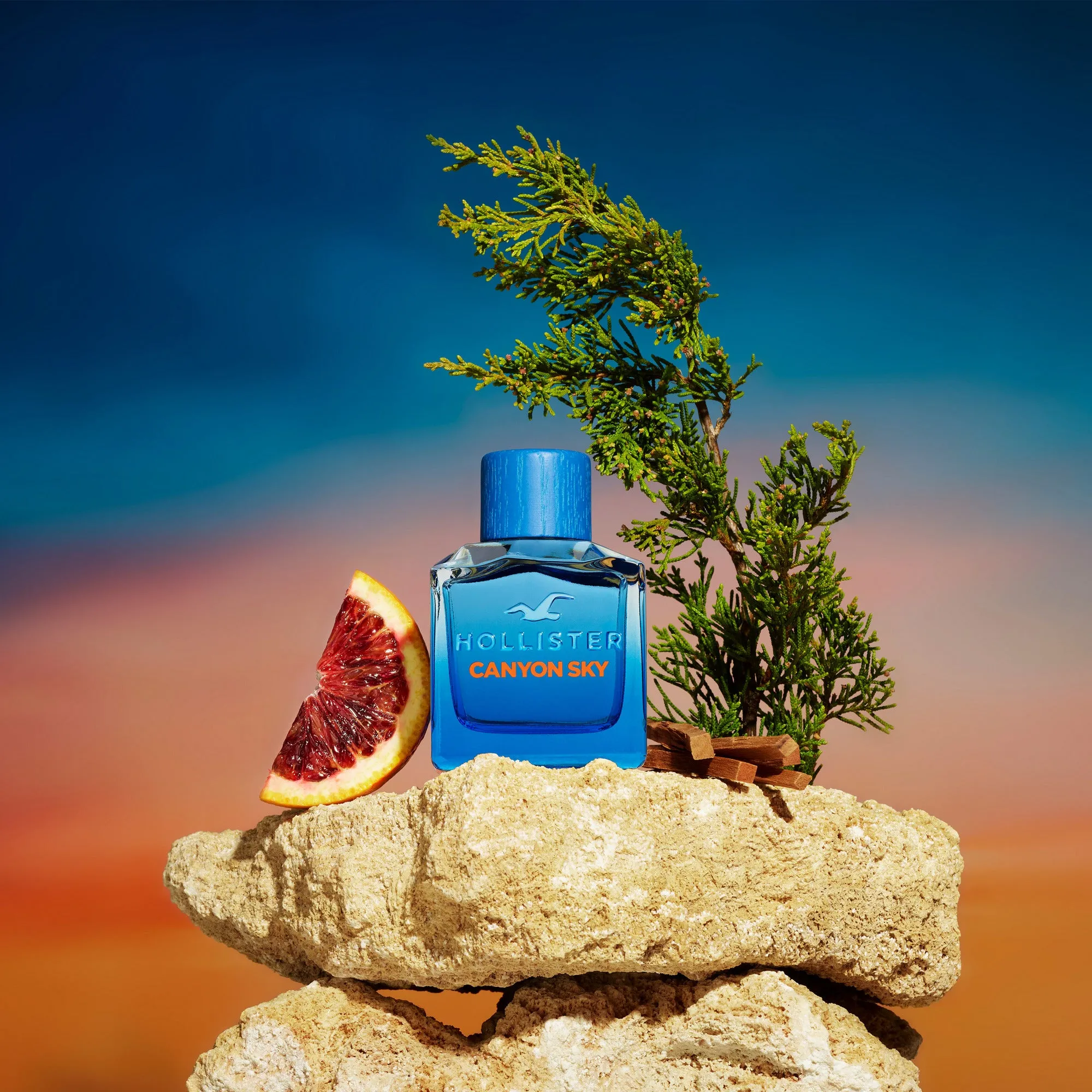HOLLISTER CANYON SKY FOR HIM EDP 100ML