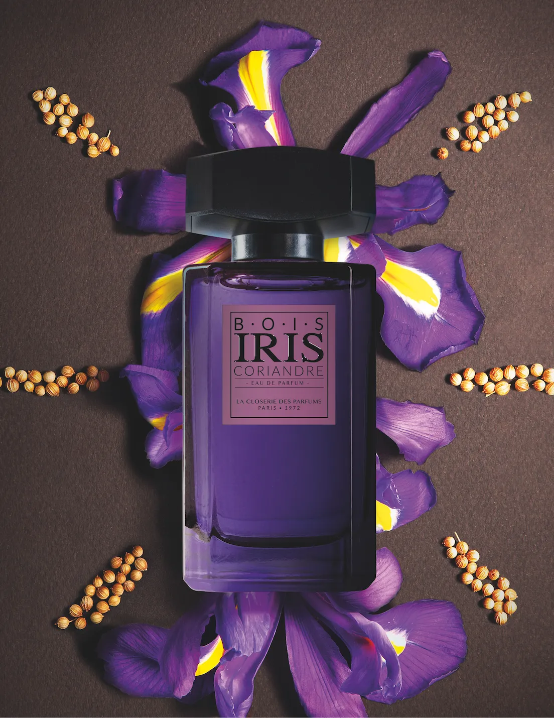 Iris Coriandre