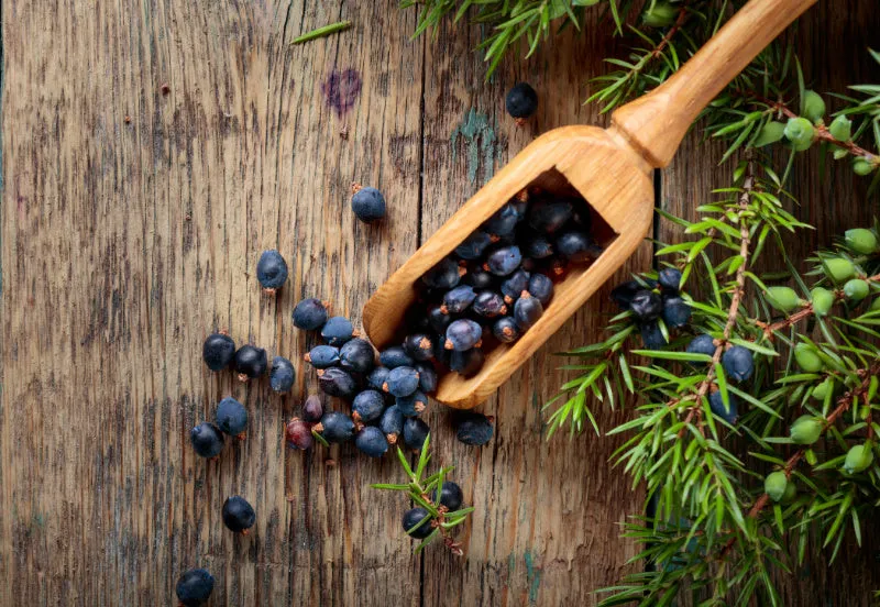 Juniper Berries & Tobacco - Premium Fragrance Oil