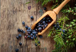 Juniper Berries & Tobacco - Premium Fragrance Oil