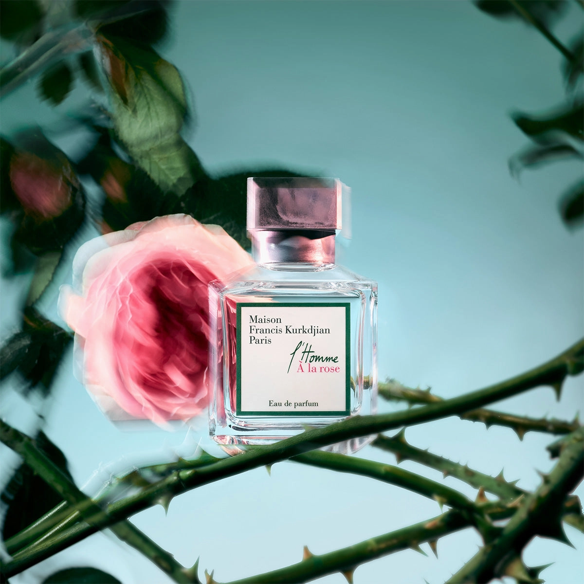 L'Homme ???N La Rose Eau de Parfum