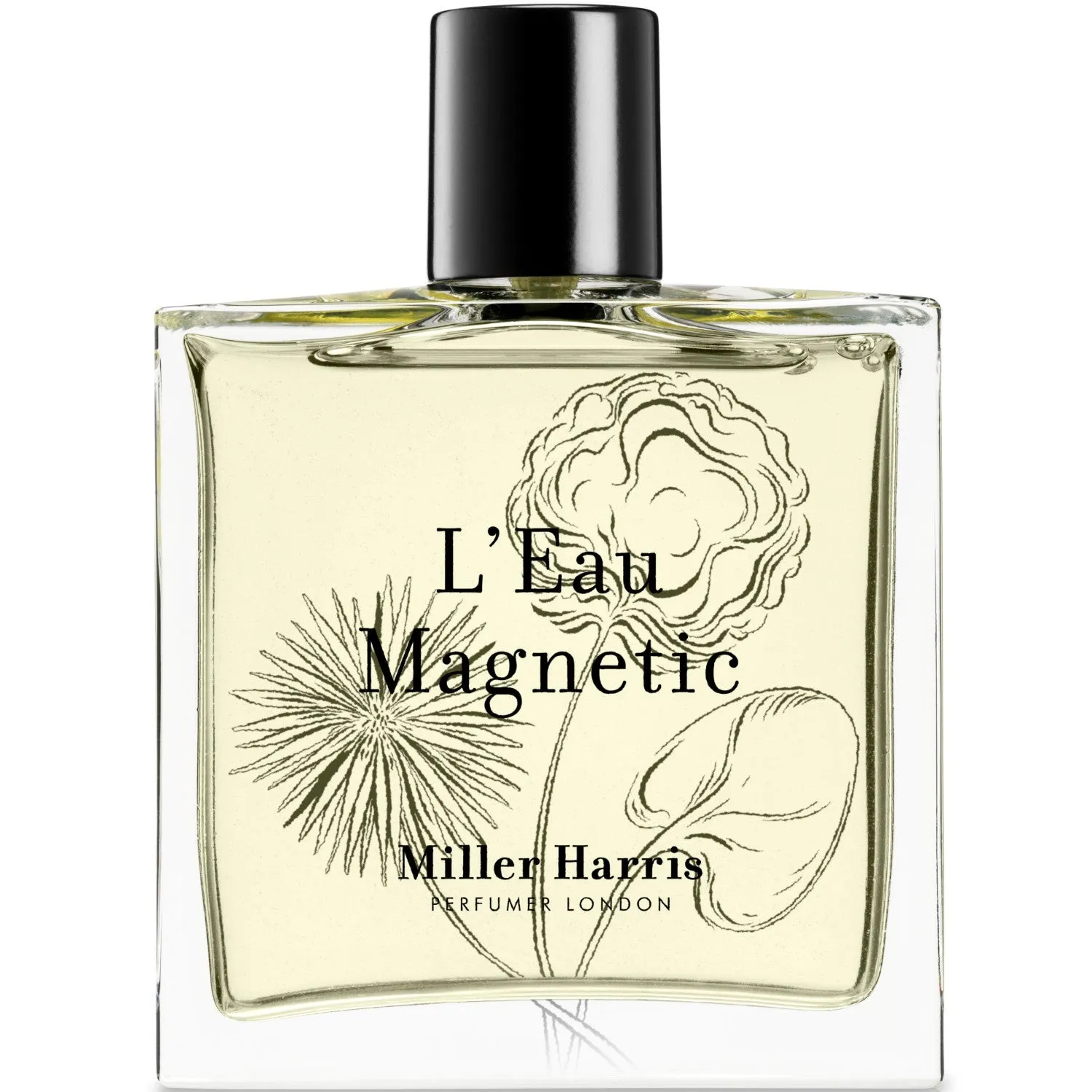 L'Eau Magnetic