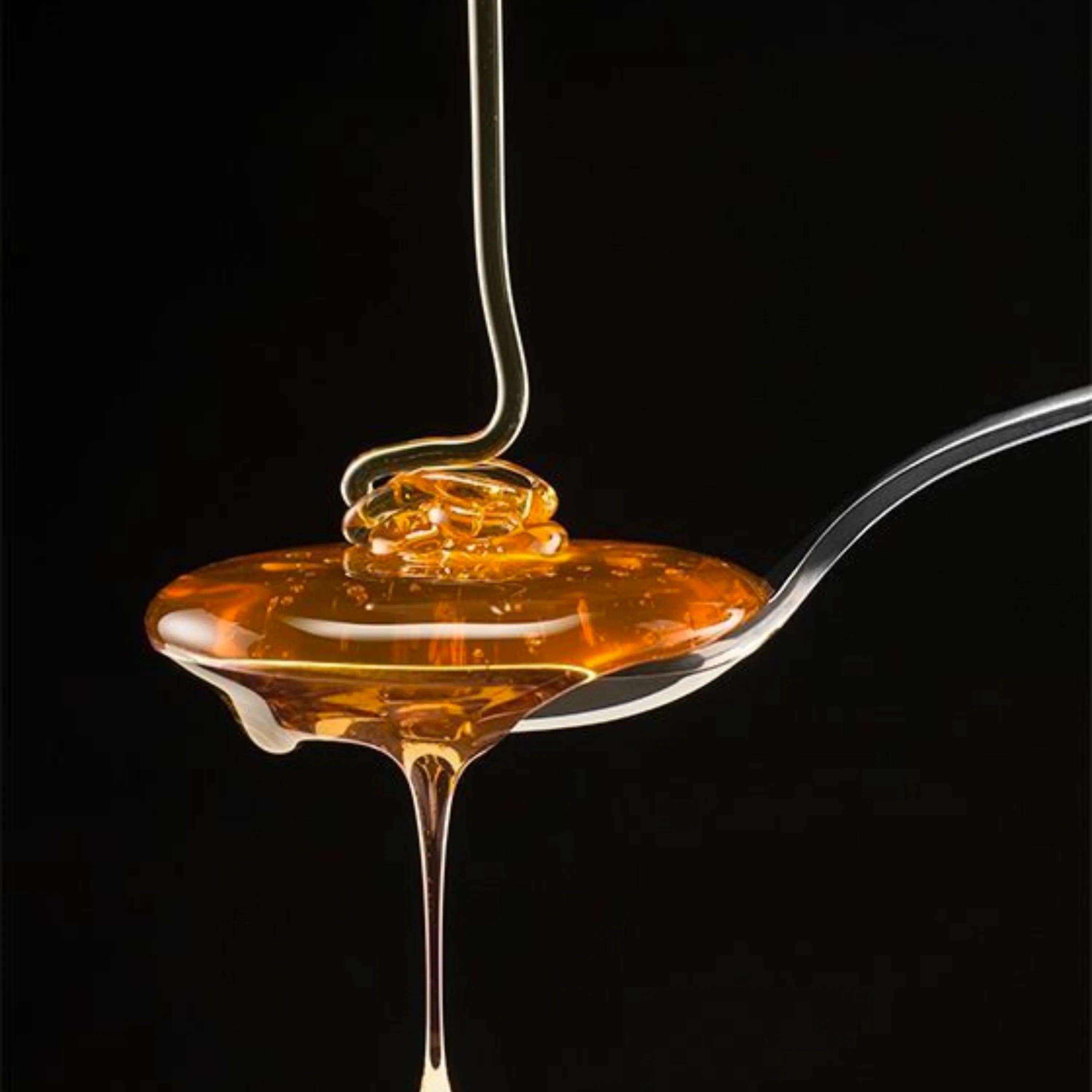 Maple Syrup