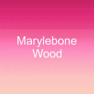 Marylebone Wood