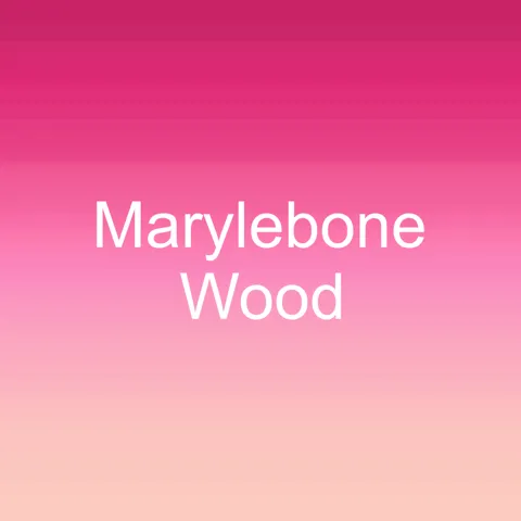 Marylebone Wood