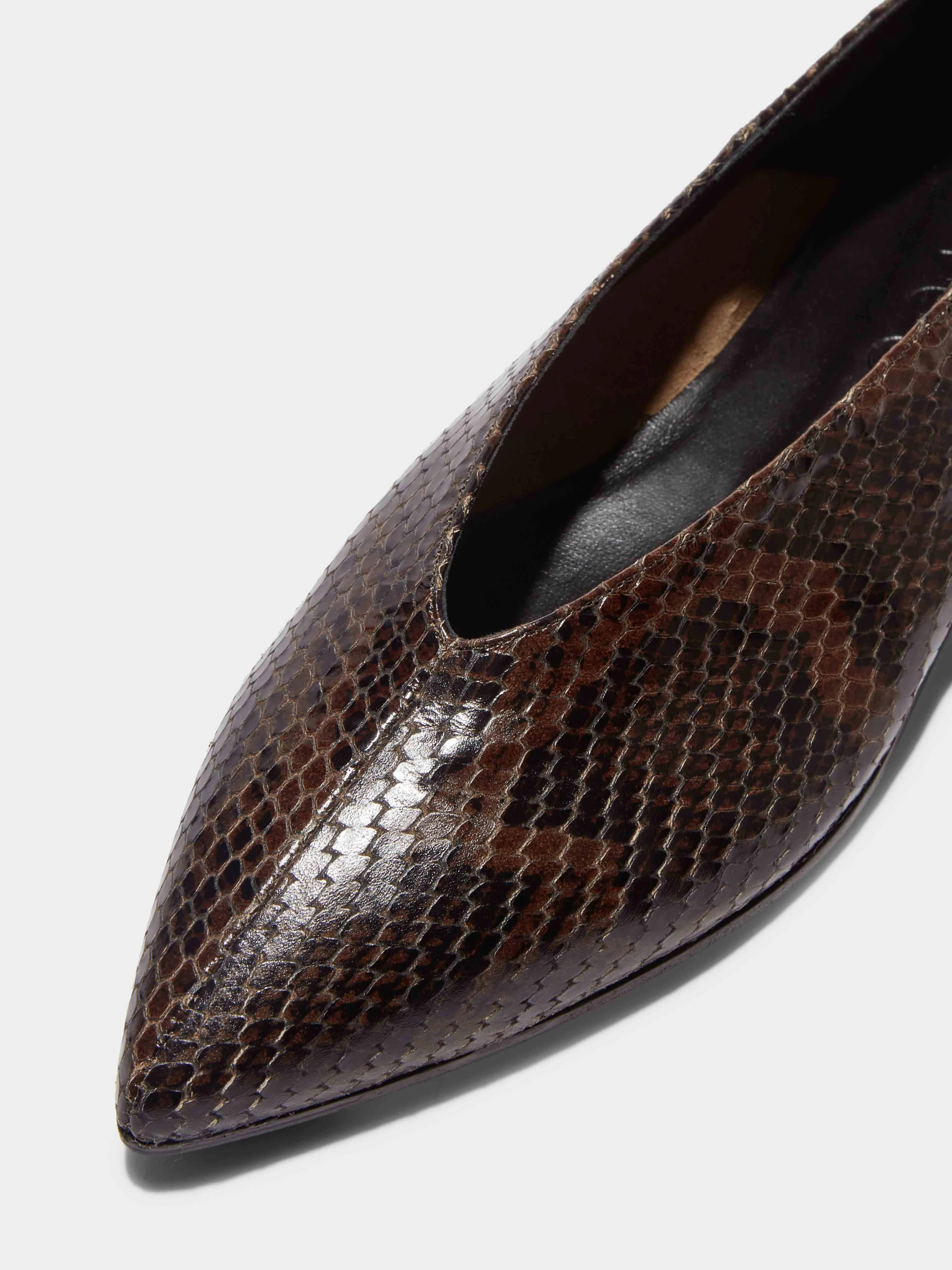 Moa Pointed-Toe Flats Style Meets Comfort