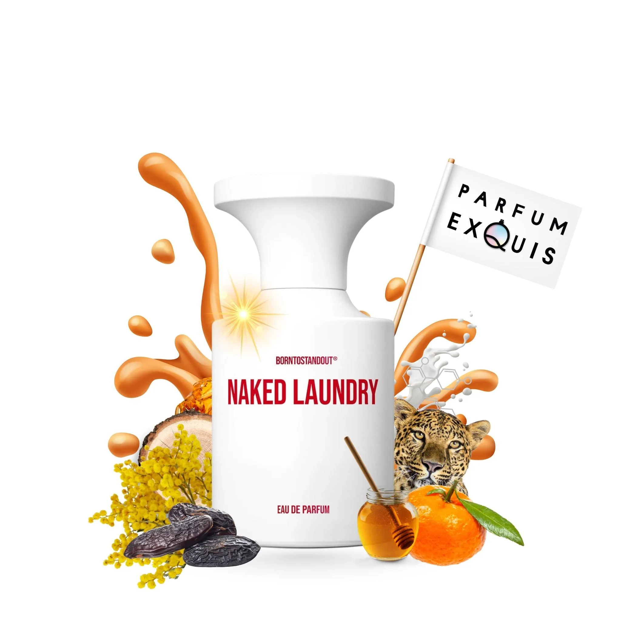 Naked Laundry