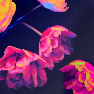 Neon Blossoms - Premium Fragrance Oil