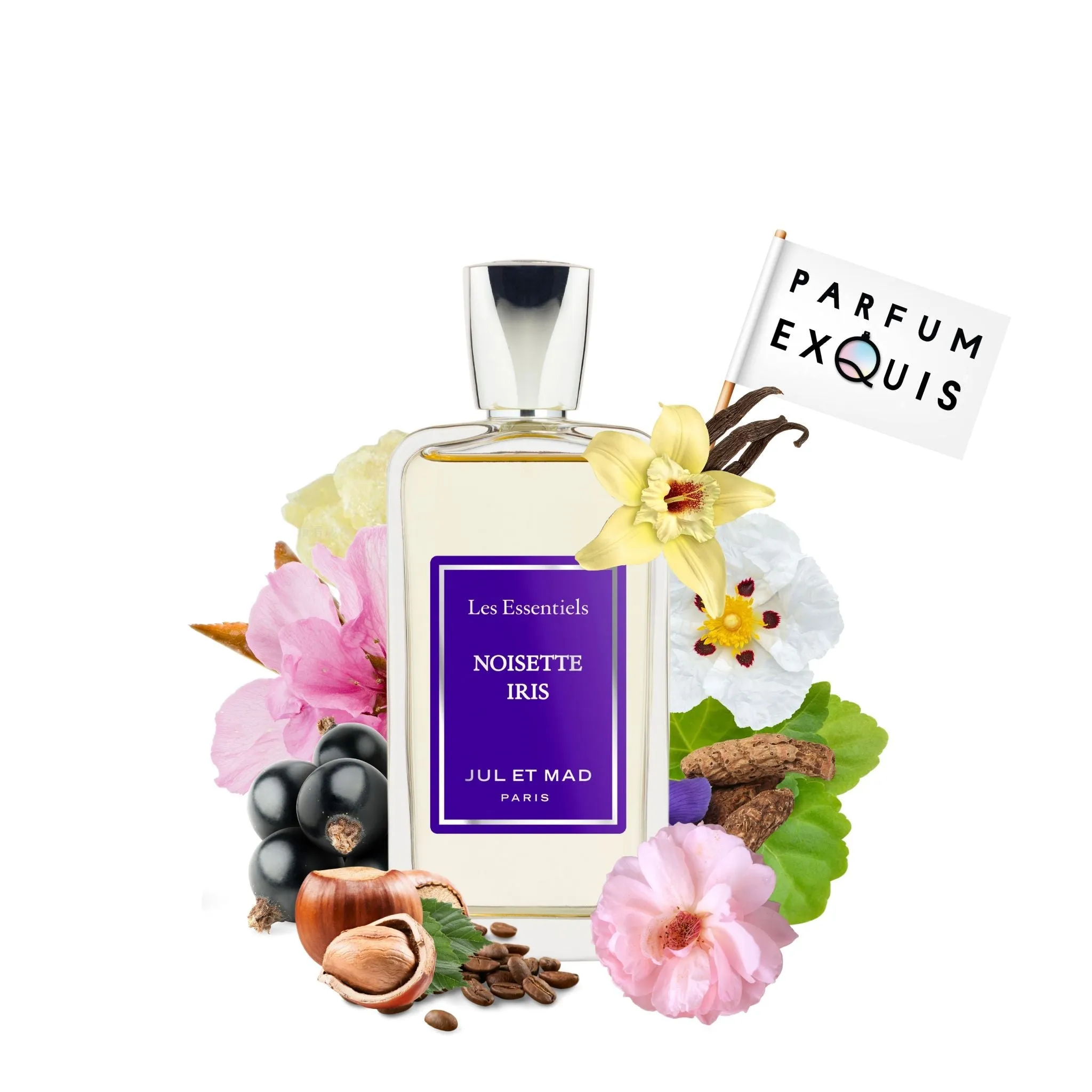 Noisette Iris