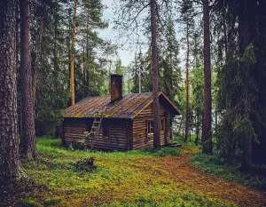 NorthWoods - Premium Fragrance Oil